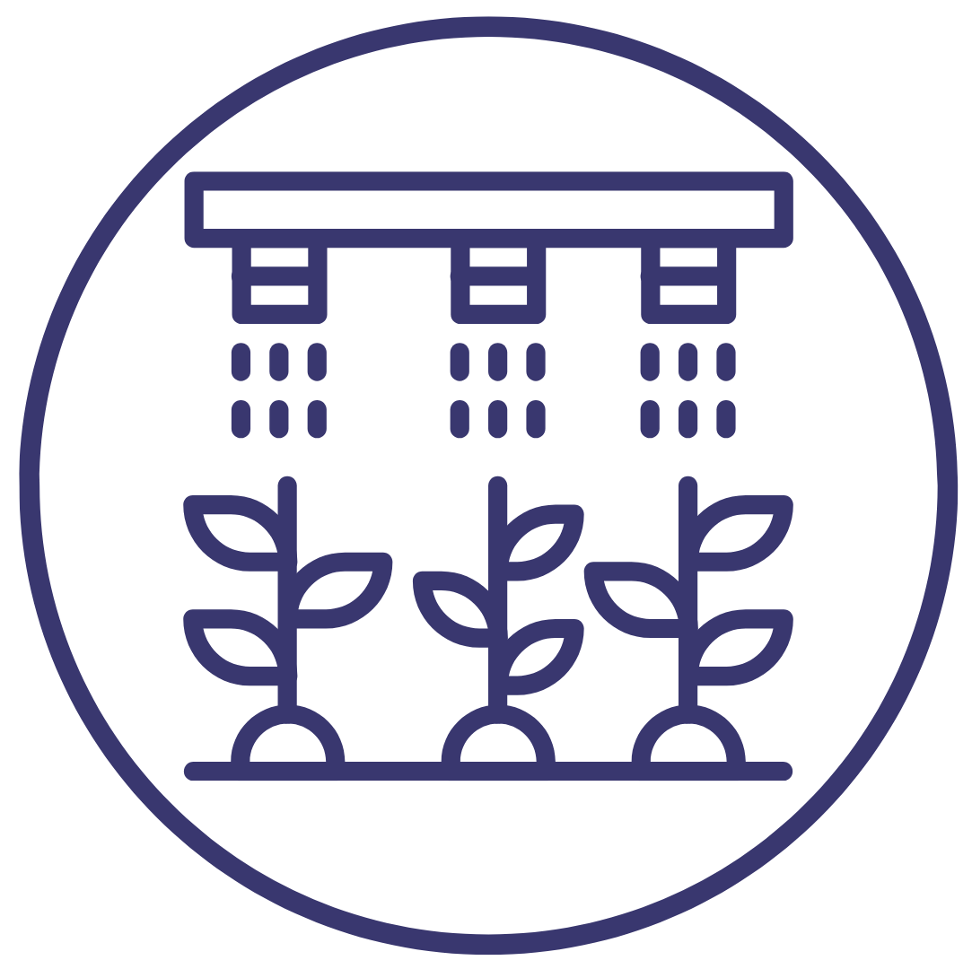 Icon 5